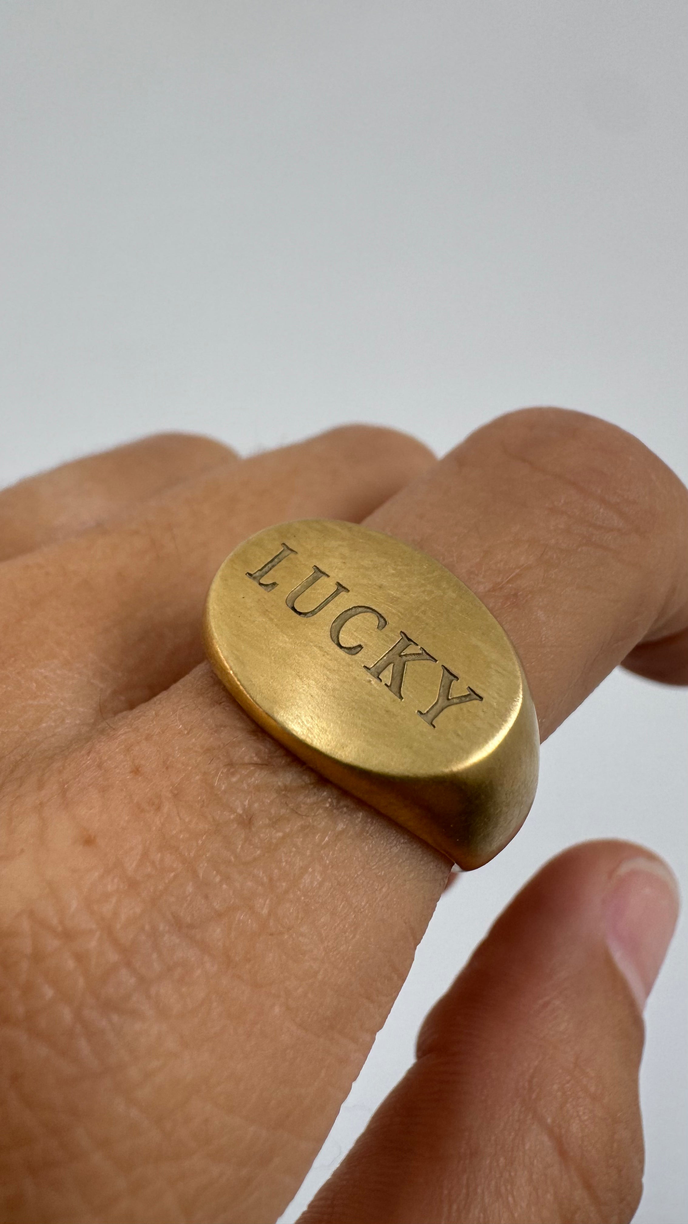 ANILLO SIGNET LANDSCAPE